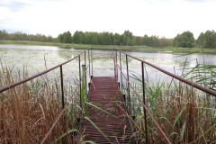 Picture22